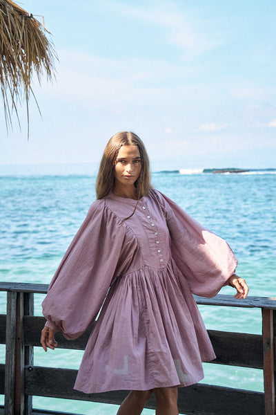 Anika Mini Dress ~ Mulberry